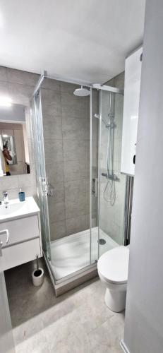 une salle de bain avec une douche, des toilettes et un lavabo dans l'établissement Duplex pour escapade en Normandie, à Merville-Franceville-Plage