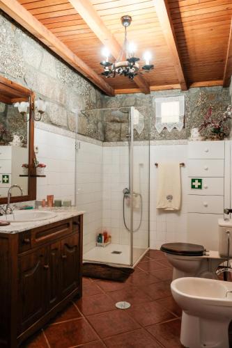 a bathroom with a shower and a toilet and a sink at Casa dos Castros in Travassós