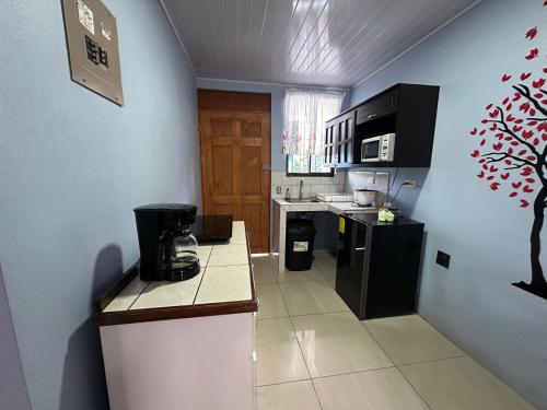 una pequeña cocina con nevera negra y encimera en Apartamento con dos habitaciones, en San Isidro