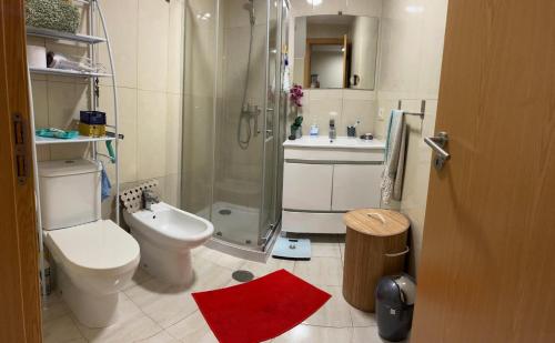 a bathroom with a shower and a toilet and a sink at Maison L aurore in Lobios