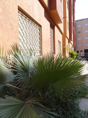 un montón de plantas delante de un edificio en Twins 11 Apartment, en Marrakech