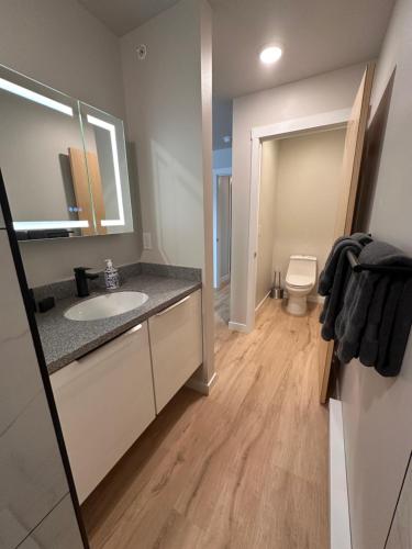a bathroom with a sink and a toilet at DWELL in Alaska "BIGGER" Unit m in Fairbanks