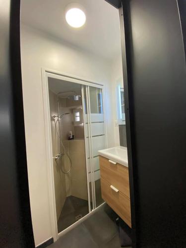une salle de bain avec une douche, un lavabo et un miroir dans l'établissement Studio au cœur de paris, à Paris
