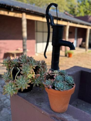 two potted plants are sitting on a ledge at El Rancho - Hospedaje Rural in Navarro