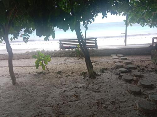 a park bench on the beach with trees and rocks at Yohana Cottage in Tual
