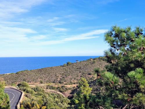 Appartement à Banyuls-sur-Mer avec Vue sur Mer et Parking - FR-1-309-6