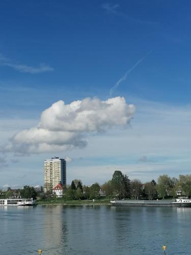 a large body of water with a building in the background at Entre 2 Rives Strasbourg-Kehl in Kehl am Rhein