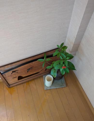 a plant in a pot on a floor next to a wall at Tsubakiso in Nara
