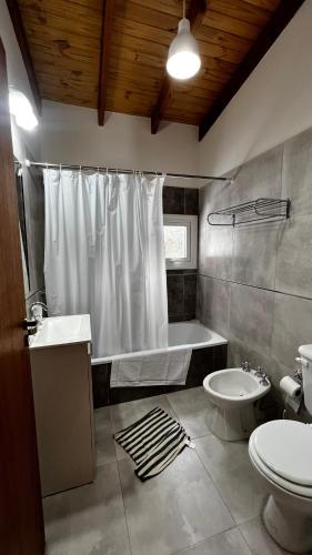 a bathroom with a shower and a sink and a toilet at ENDOR en VLA in Villa La Angostura