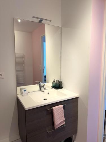 une salle de bain avec un lavabo et un grand miroir dans l'établissement La chatillonnaise, à Châtillon