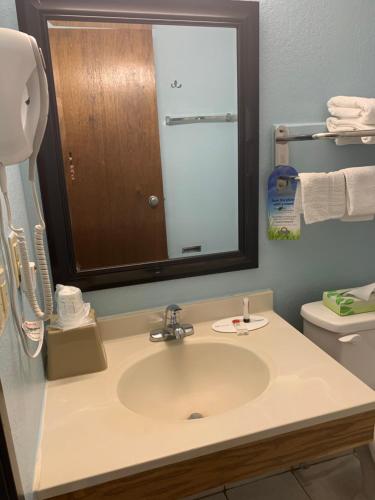 a bathroom with a sink and a mirror and a toilet at SUNRiSE INN in Greenwood