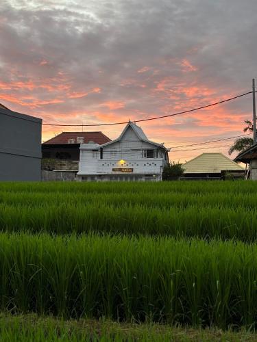 a white building sitting in a field of grass at villa Angin in Munggu