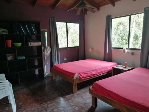 two beds in a room with pink walls and windows at Cabinas casa las flores in Montezuma