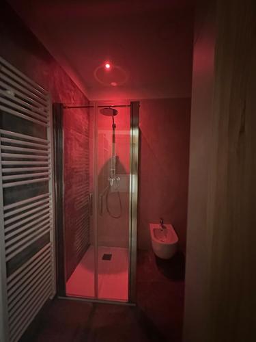 a bathroom with a shower and a sink with a red light at Agritur Leita in Tuenno