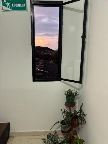 a window in a room with potted plants at Casa Irene in Chinchiná