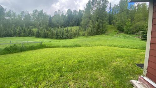 a large field of green grass with trees in the background at Pet Friendly 3 Bdrm Home with Hot Tub by StayIn in Fernie