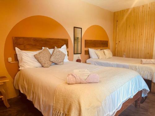 Gallery image of Casa Sofia Guest House in San Cristóbal de Las Casas