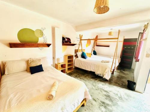 Gallery image of Casa Sofia Guest House in San Cristóbal de Las Casas