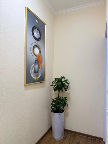 Фотография из галереи UMMU ROHAT guest house в Самарканде