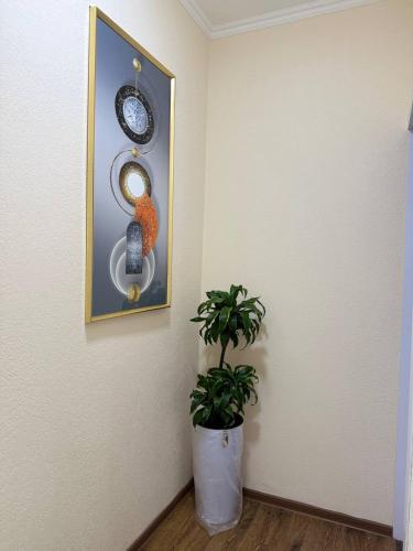 Фотография из галереи UMMU ROHAT guest house в Самарканде
