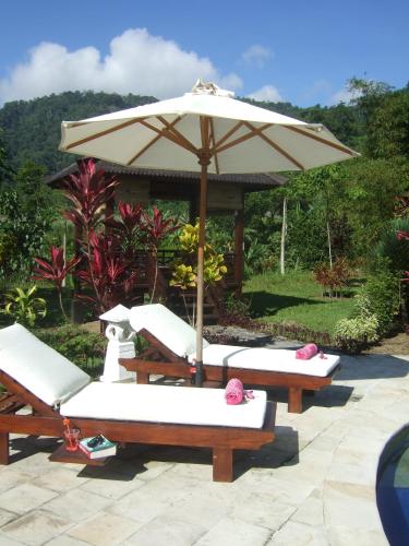 a group of lounge chairs and an umbrella at Guesthouse Rumah Senang in Kalibaru