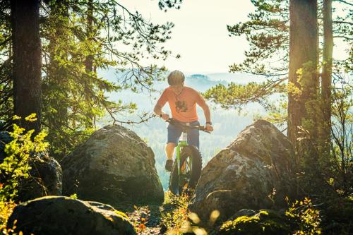 a man riding a bike on a rocky trail at Break Sokos Hotel Koli Kylä in Kolinkylä