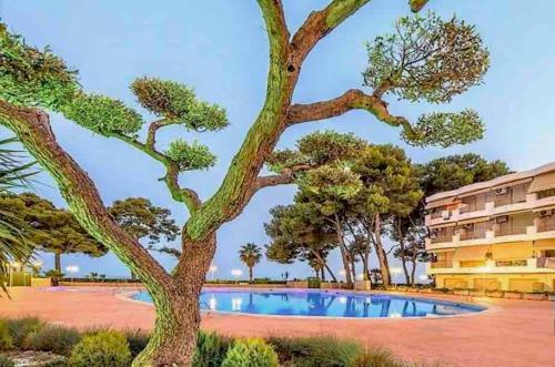 Estudio renovado en primera linea de mar