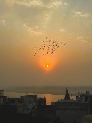 a flock of birds flying in front of the sunset at Sukoon River Homestay in Varanasi