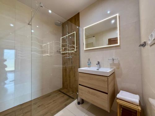 a bathroom with a shower and a sink and a mirror at Vysoké Tatry - ISC RESORT in Mlynica
