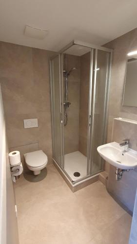 a bathroom with a shower and a toilet and a sink at Gasthaus zur Bergstrasse in Hirschberg an der Bergstraße