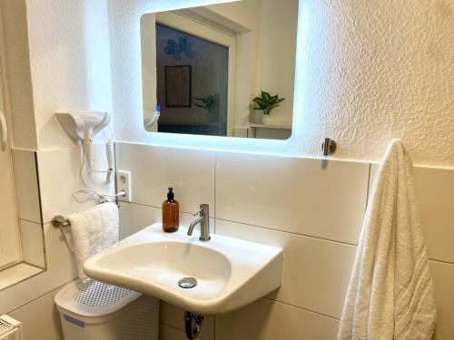 a bathroom with a sink and a mirror at Westflügel Apartment mit Parkplatz und zentraler Lage in Bad Rothenfelde