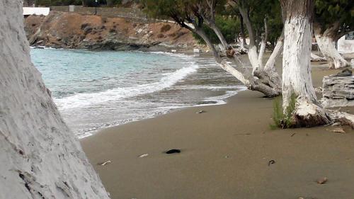 a sandy beach with trees and the water at Aura Loutra Kythnos in Kithnos