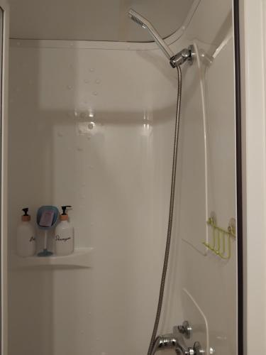 une douche dans une salle de bain avec une porte vitrée dans l'établissement LOCATION CLIM 2 CH Lac de Lougratte, à Lougratte