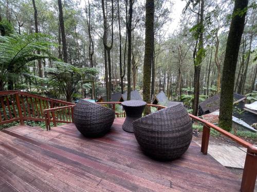 Kopeng Treetop Adventure Parkにある庭