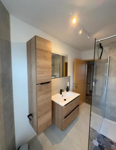 a bathroom with a sink and a shower at FEWO Elbeblick in Bad Schandau