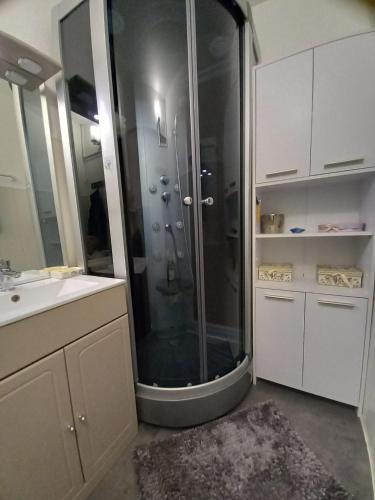 une salle de bain avec une douche avec un lavabo et un miroir dans l'établissement T2 standing Gruissan, à Gruissan