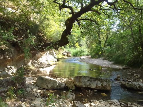 a river with rocks and trees in a forest at Les Favouilles, le gîte pour 15 personnes in Dauphin