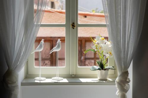 Authentic Aegina Townhouses