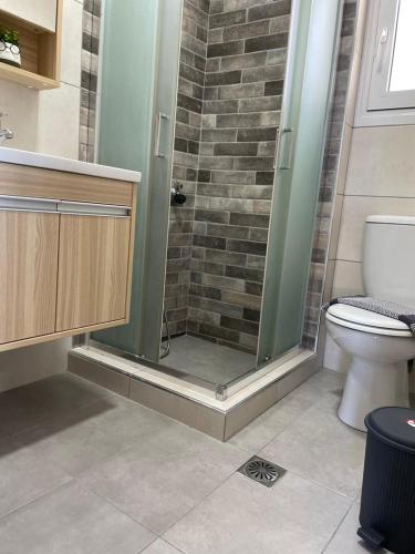 a bathroom with a glass shower with a toilet at Roomie Studio Near PAGNI in Goúrnes