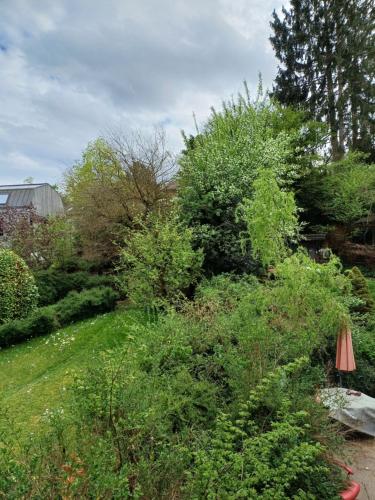 Κήπος έξω από το Stylish Flat 10 Minutes to Basel City Center