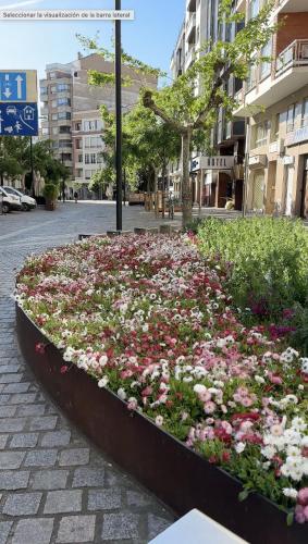 Casco Antiguo Céntrico y acogedor A pasos de la Laurel