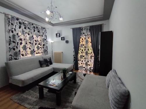 a living room with a couch and a table at Crestio apartment Καστοριά in Kastoria