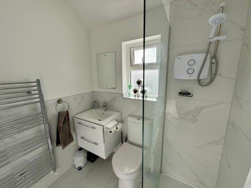 Un baño blanco con inodoro y ducha. en Double Room in Dublin City, en Dublín