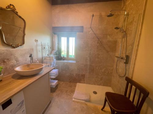une salle de bain avec un lavabo et une douche dans l'établissement La Cachette - gîte 'cosy' à Magny Cours, à Magny-Cours