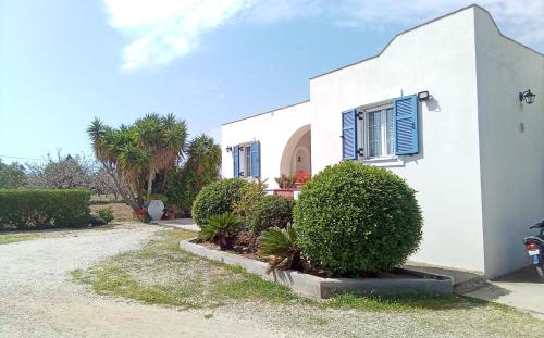 Zahrada ubytování Tzitzi Pistachio Villa