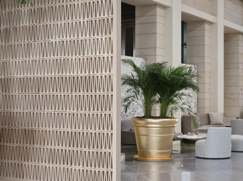 a plant in a pot next to a wall at September Hotel Thessaloniki in Thessaloniki