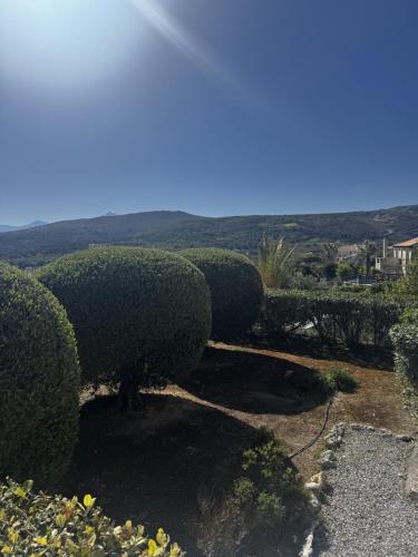 a row of hedges with a view of the hills at Villa Ikaros in Agia Triada