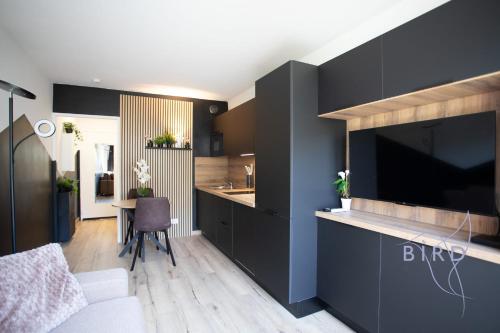 Il comprend une cuisine et un salon avec un grand mur noir. dans l'établissement Sunny Flat in Juan les pins, à Juan-les-Pins