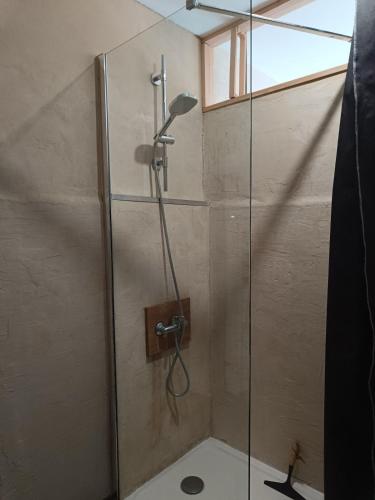 a shower with a glass door in a bathroom at Logement dans résidence principale Le Crès in Le Crès