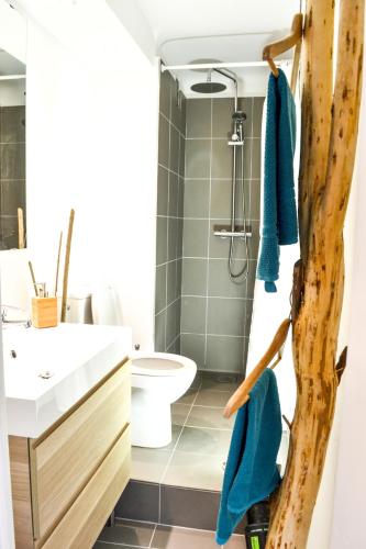 une salle de bain avec un lavabo et une douche dans l'établissement Arc & Peyrou Évasion, Montpellier, à Montpellier